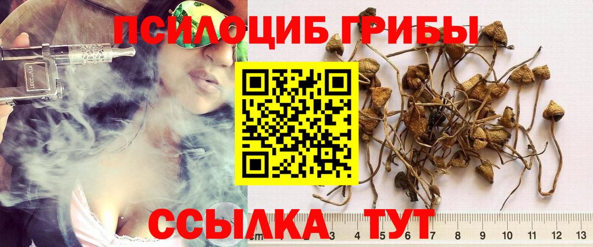Саянск  Галлюциногенные грибы мухоморы  Вход с VPN  Галлюциногенные грибы ЛСД 