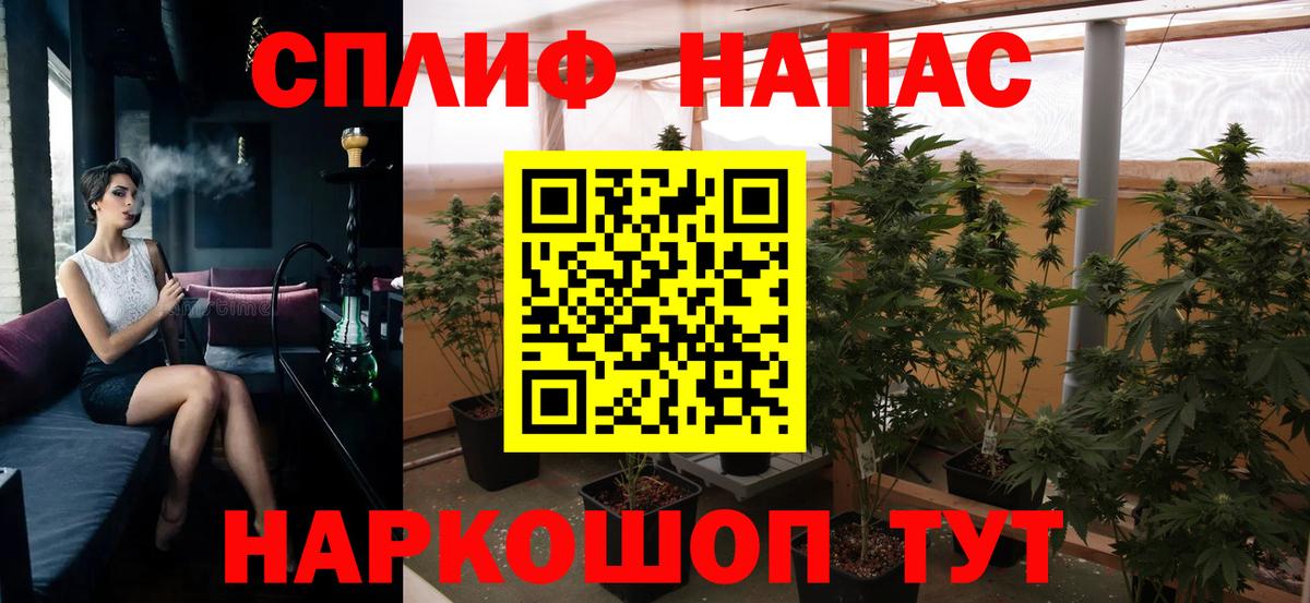Саянск  Шишки марихуана планчик  Вход с VPN  Шишки марихуана White Widow  Марихуана конопля 